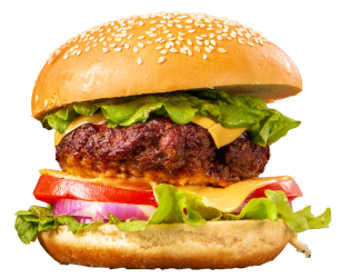 5 burger